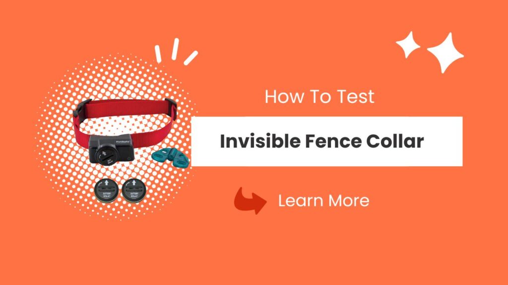How to Test Invisible Fence Collar Battery Follow This Processs