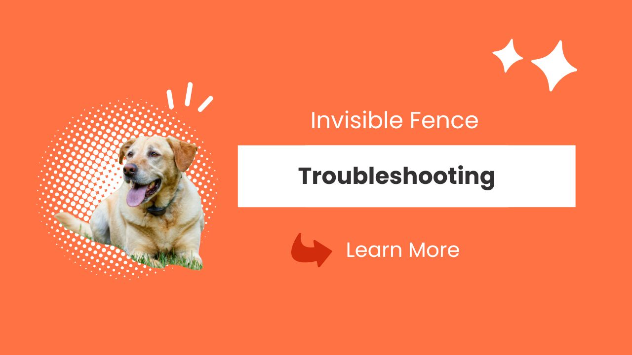 Invisible Fence Troubleshooting