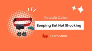 Petsafe Collar Beeping But Not Shocking