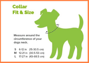 dog collar size