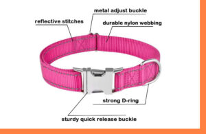 Benefits of Quick Release Collar