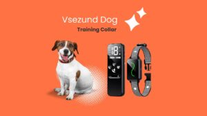 Dog Training Collar