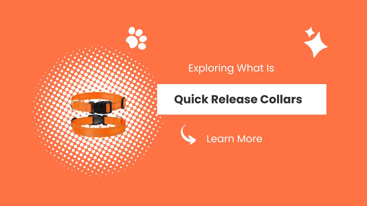 What Is Quick Release Collars