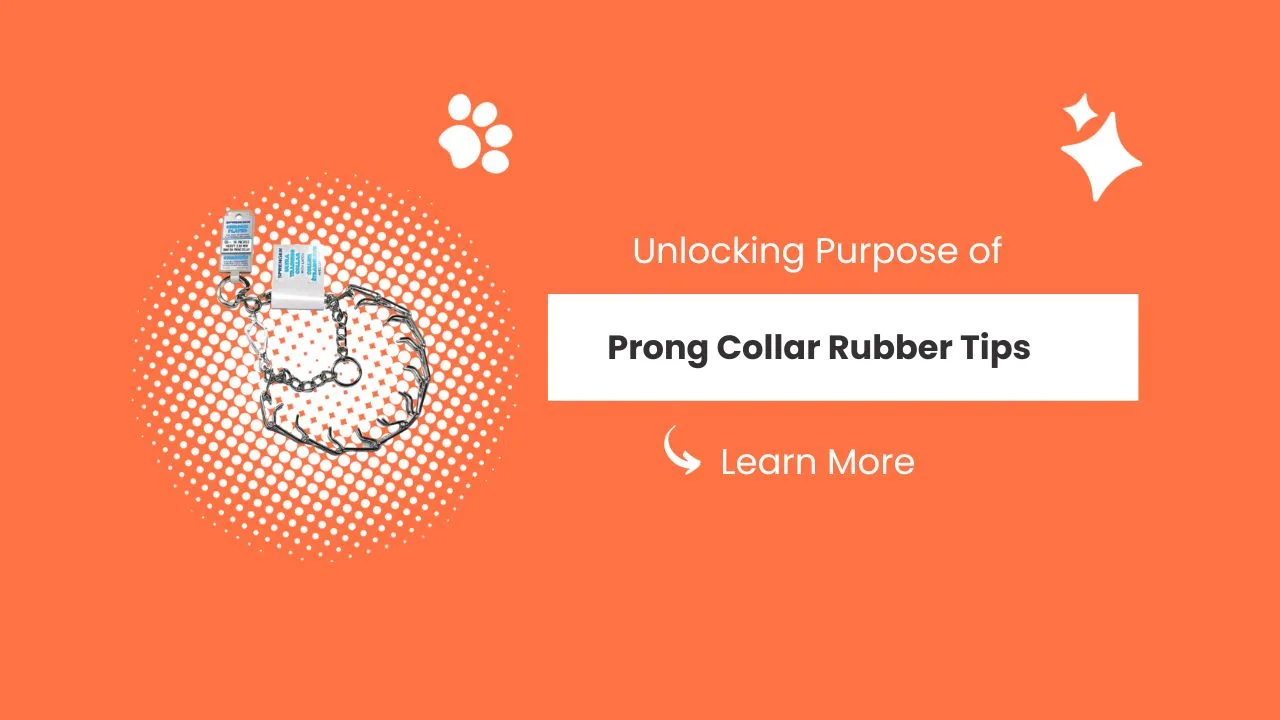 Prong Collar Rubber Tips, Dog Latest