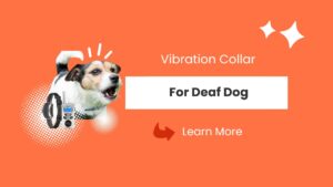 Vibration Collar For Deaf Dog