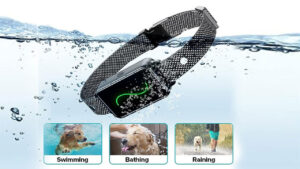 Vsezund Training Collar