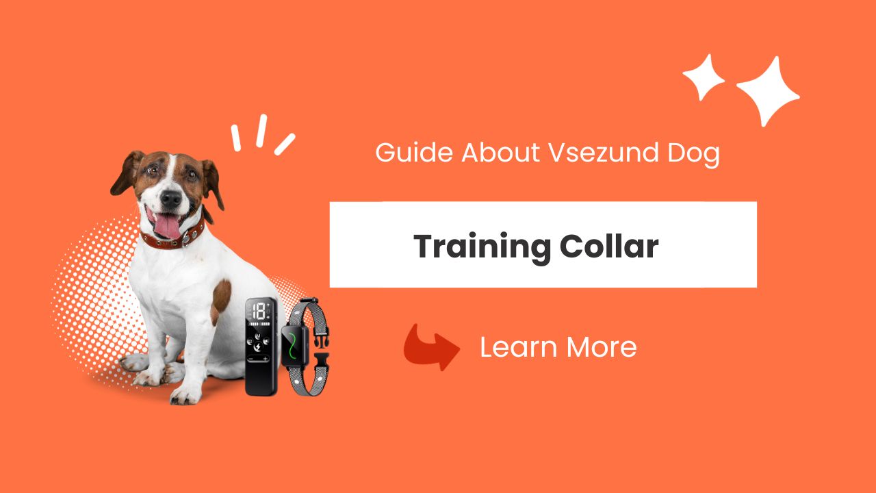 Vsezund Dog Training Collar