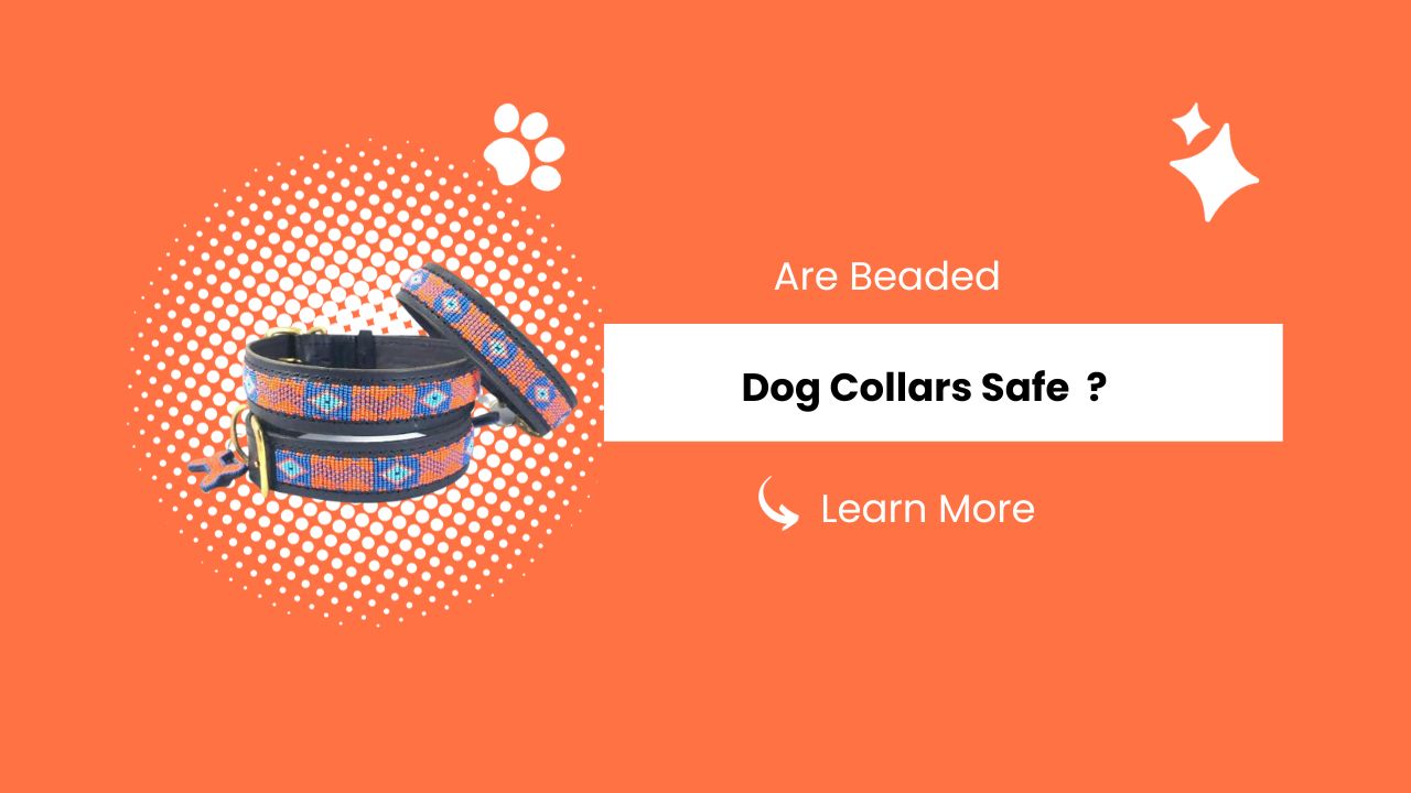 Are Beaded Dog Collars Safe