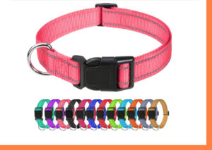 What Do Dog Collar Colors Mean