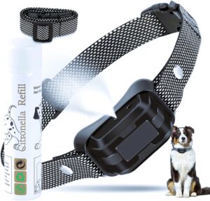 best bark collar for dogs, spray bark collar for dogs