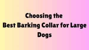 choosing the best barking collar for large dogs dog latest guide