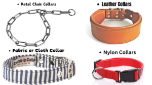 how to clean dog collars, how to clean dog collar, dog collar, clean dog collar, dog latest guide