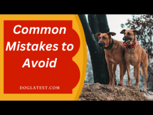 common mistakes to avoid, dog latest, how to train dog with shock collar