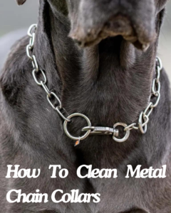 how to clean meta chain dog collars, dog latest, how to clean dog collars, clean dog chain collars, best dog chain clean guide