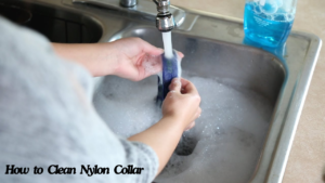 how to clean nylon collar, dog latest, dog care guide, how to clean dog collars, how to clean dog collar