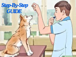 step by step guide how to use dog whistle for training, dog whistled for training, dog latest guide