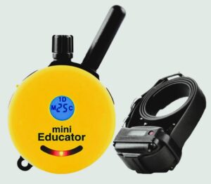 mini educator e-collar, dog latest, mini educator