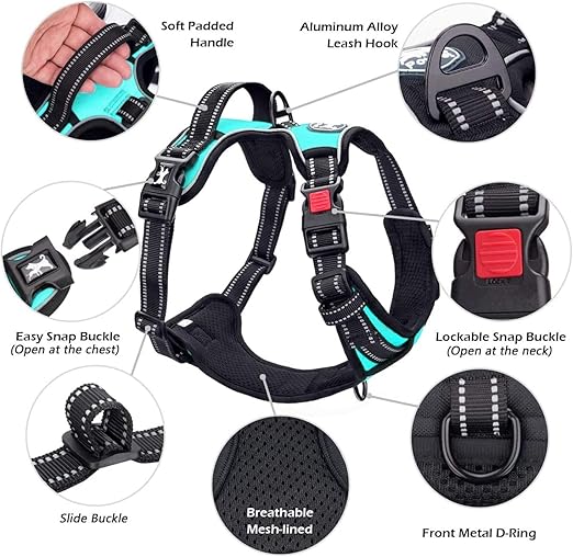 Dog Harness Australia