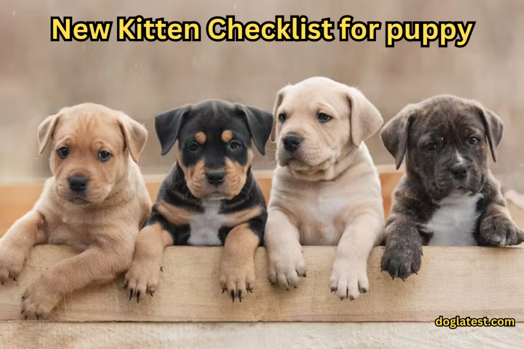 New Kitten Checklist for puppy- Tips For Getting a New Kitten