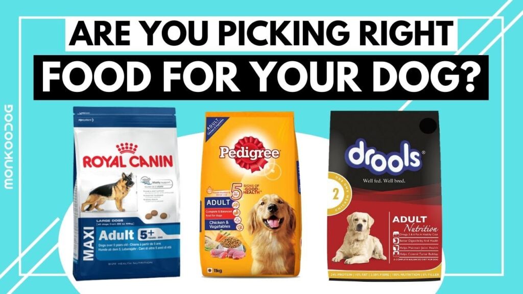 What is the best dog food in Australia?